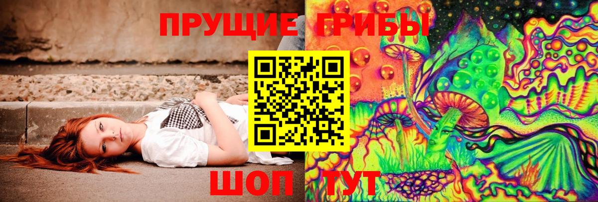 Галлюциногенные грибы GOLDEN TEACHER  Вход с VPN  Псилоцибиновые грибы прущие грибы  Сыктывкар 